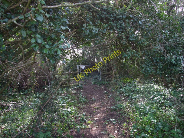 Photo 6"x4" Cheselbourne, West Down Footpath Gate Cheselbourne c2011