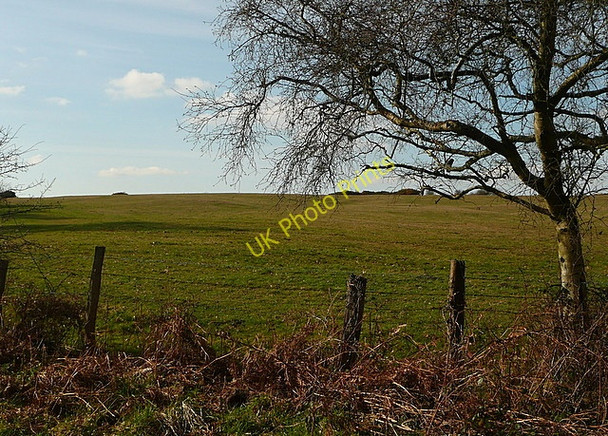 Photo 6"x4" Farmland near Vitower House Arne c2011