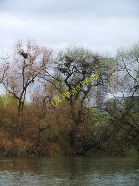 Photo 6"x4" Brentford high-rise Brentford c2011