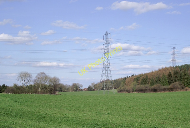 Photo 6"x4" Farmland south of Beckbury, Shropshire Badger c2011