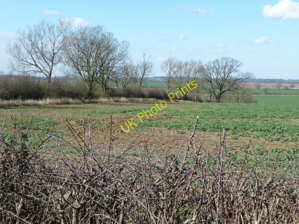 Photo 6"x4" Trees along the field boundary Garthorpe\/SK8320 c2011