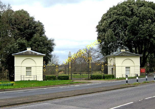 Photo 6"x4" Clandon Park's Golden Gates, Merrow, Guildford Bushy Hill\/TQ0251 c2011