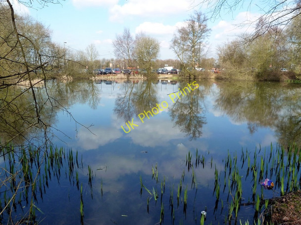 Photo 6"x4" Pond near Gatwick Airport Black Corner c2011