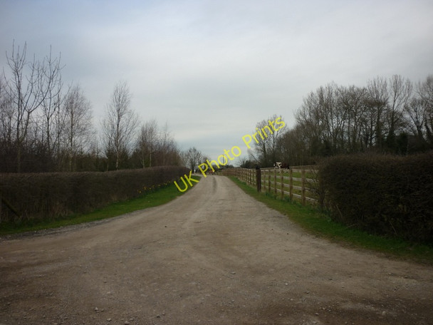 Photo 6"x4" The way to Cornborough Hall Farlington\/SE6167 c2011