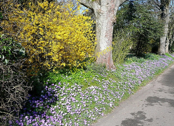 Photo 6"x4" Verge in Hampton Lane Winchester c2011