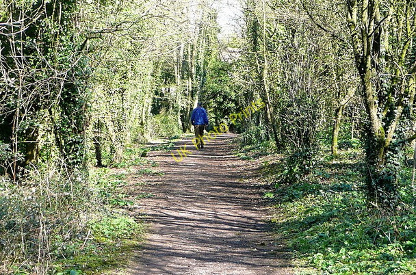 Photo 6"x4" Bridleway from Teg Down Winchester c2011