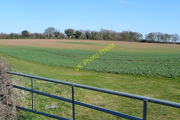 Photo 6"x4" Farmland off Sparsholt Road Standon\/SU4226 c2011