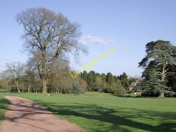 Photo 6"x4" Driveway and grounds of Badger Hall, Shropshire Badger c2011