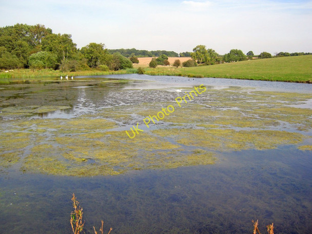 Photo 6"x4" Pond on the Stowe estate - 1 Dadford c2010