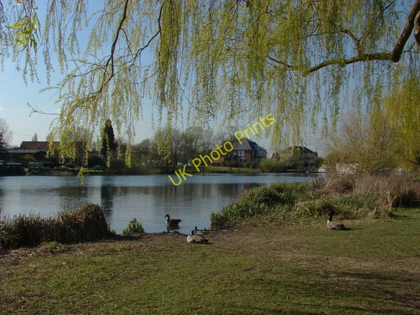 Photo 6"x4" The Thames, Laleham Chertsey c2011 P1