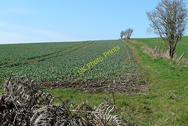 Photo 6"x4" Land off Dores Lane Lower Slackstead c2011