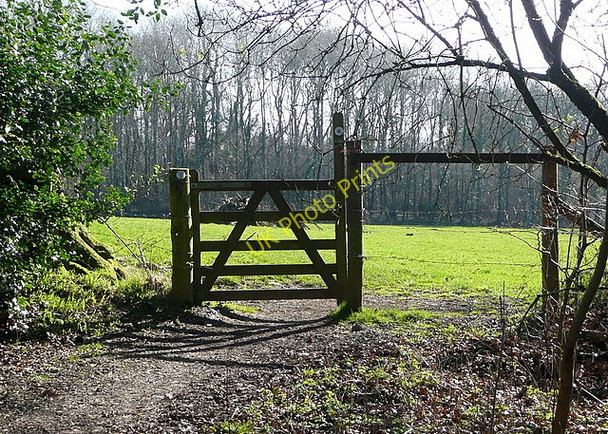 Photo 6"x4" Exit from Ampfield Wood Ampfield c2011