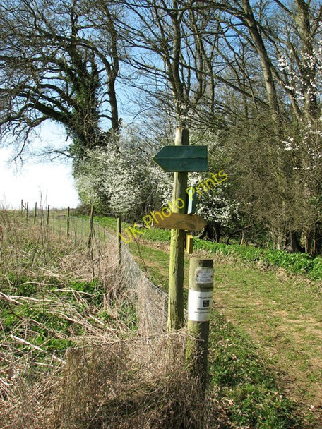 Photo 6"x4" The southern edge of Ryehill Plantation Barford\/TG1107 c2011