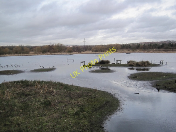 Photo 6"x4" Shibdon Pond Nature Reserve Blaydon c2011