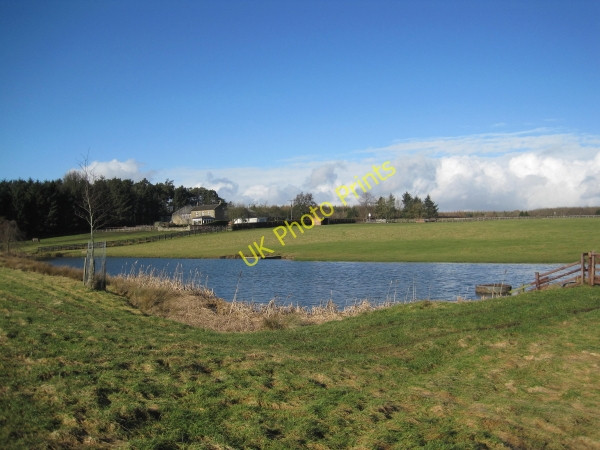 Photo 6"x4" Pond near The Byerley Stud Wallridge c2011