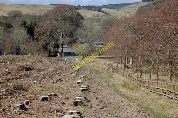 Photo 6"x4" Borders Abbeys Way descending to the Ale Water Salenside c2011