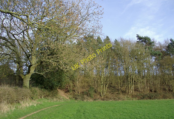Photo 6"x4" Field and Woodland south of Beckbury, Shropshire Beckbury\/SJ7601 c2011