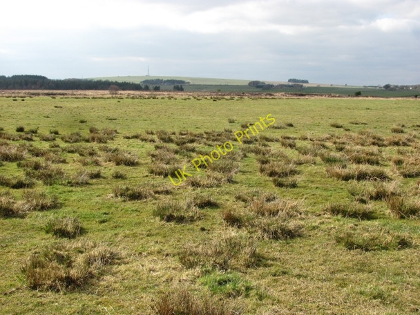 Photo 6"x4" Blacklaw Moss Carstairs c2011