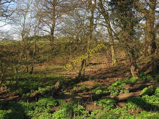Photo 6"x4" Old Pit near Wicklands Isfield c2011
