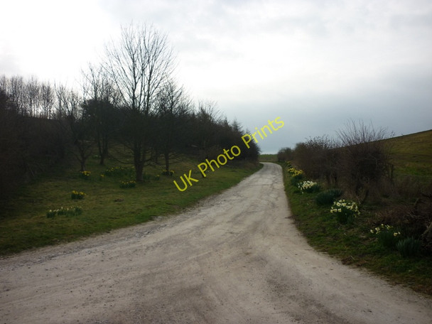 Photo 6"x4" The way to Goodmanham Lodge Farm Goodmanham c2011
