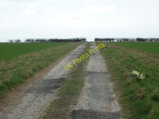 Photo 6"x4" Walking south towards Bugthorpe Grange Bugthorpe c2011