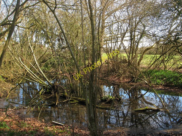 Photo 6"x4" Small Pond near Birches Farm Rose Hill\/TQ4516 c2011