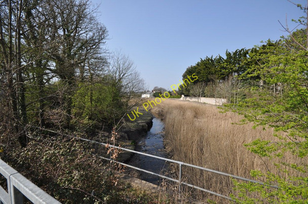 Photo 6"x4" Where two streams have merged under the B3233 and are travelling toward Fremington Pill Combrew c2011