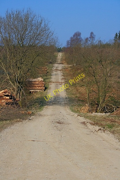 Photo 6"x4" Forestry Track, near Hardhurst Slack Crowdon c2011
