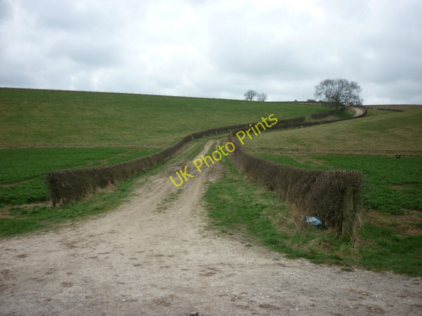 Photo 6"x4" A Green Lane to Elmswell Wold Farm Garton-on-the-Wolds c2011