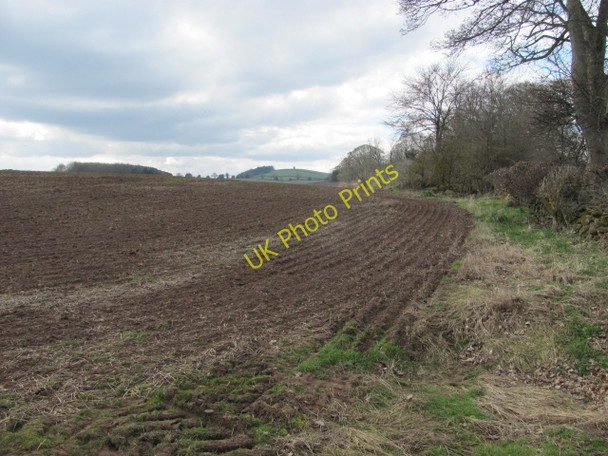 Photo 6"x4" Cultivated field, Fairnington Maxton\/NT6130 c2011