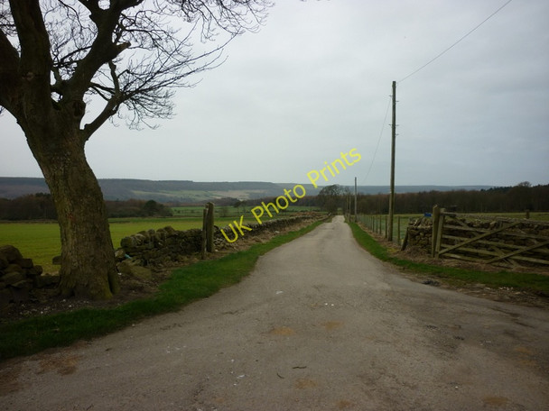 Photo 6"x4" The way to Linglands Farm off Gowland Lane Crowdon c2011