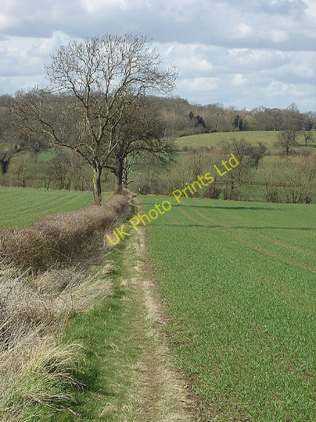 Photo 6"x4" Footpath to the King's Brook valley Stanford on Soar c2008
