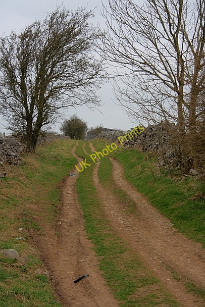 Photo 6"x4" Wheal Lane Brushfield c2011
