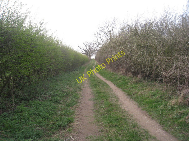 Photo 6"x4" Bridleway to Habrough (2) Keelby c2011