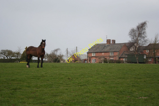 Photo 6"x4" Brereton Park Farm Hargrave\/SJ4862 c2011 P1