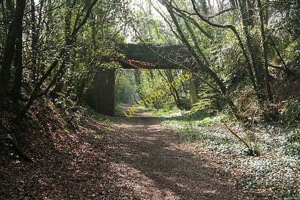 Photo 6"x4" Brixton: course of Yealmpton Branch Spriddlestone c2011