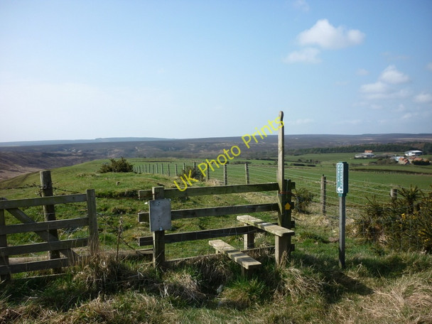Photo 6"x4" A footpath to Brown Rigg Beck Fylingthorpe c2011
