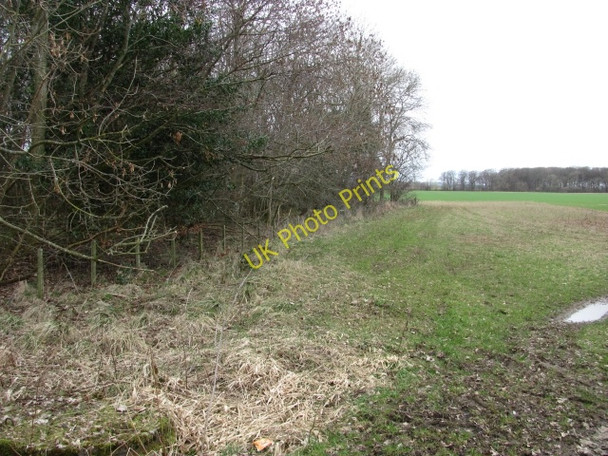 Photo 6"x4" Woodland, Hutton Hutton\/NT9053 c2011