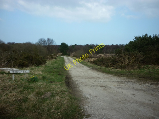 Photo 6"x4" The way to Moor House Farm Sneatonthorpe c2011