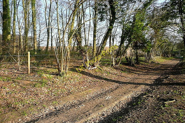 Photo 6"x4" Oxdrove Way at The Scrubbs Couch Green c2011