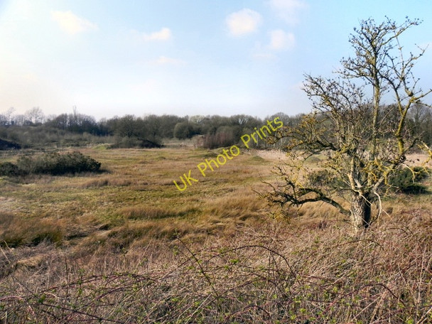 Photo 6"x4" Rixton Claypits Nature Reserve Rixton c2011