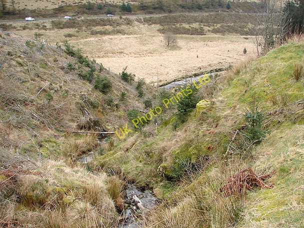 Photo 6"x4" Nant Gwernog Pont Rhydgaled c2008