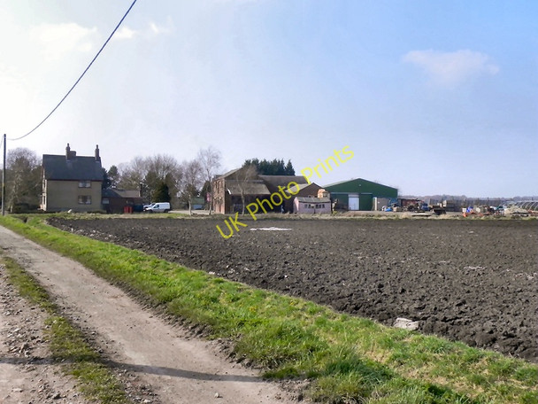 Photo 6"x4" Prospect Farm, Rixton Moss Gorse Covert\/SJ6692 c2011