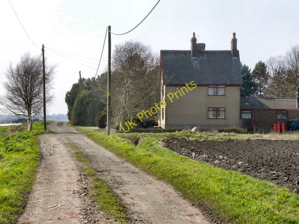 Photo 6"x4" Prospect Farm Gorse Covert\/SJ6692 c2011