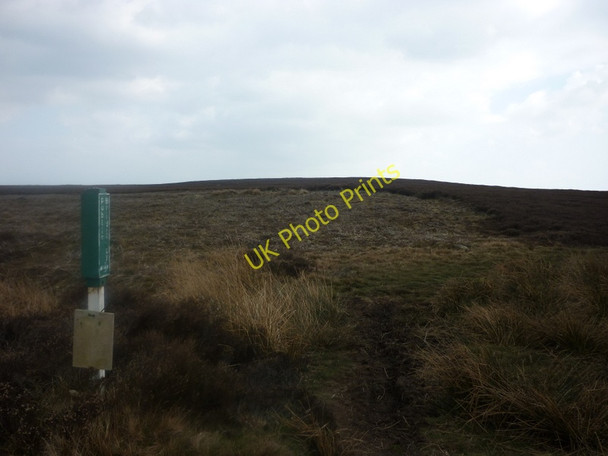 Photo 6"x4" A bridleway across In Moor Key Green\/NZ8004 c2011
