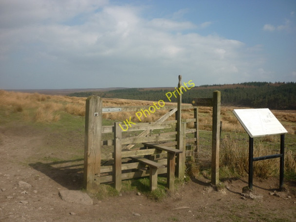 Photo 6"x4" The way to the Roman Road on Wheeldale Moor Blawath Beck c2011