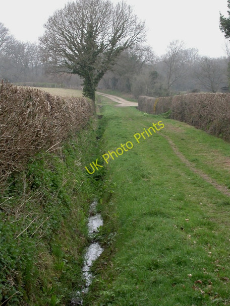 Photo 6"x4" Holt, Pillmoor Bottom God's Blessing Green c2011