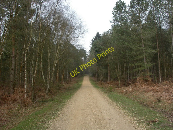 Photo 6"x4" White Sheet Hill God's Blessing Green c2011