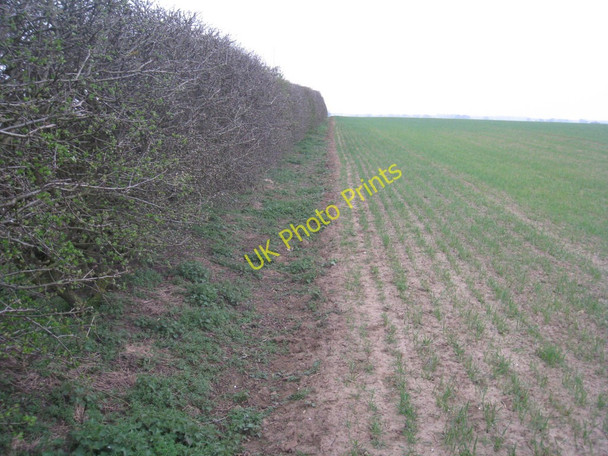 Photo 6"x4" The footpath to Scotton Kirton in Lindsey c2011