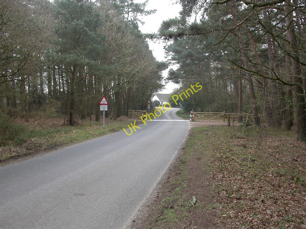 Photo 6"x4" Holt Heath, cattle grid God's Blessing Green c2011
